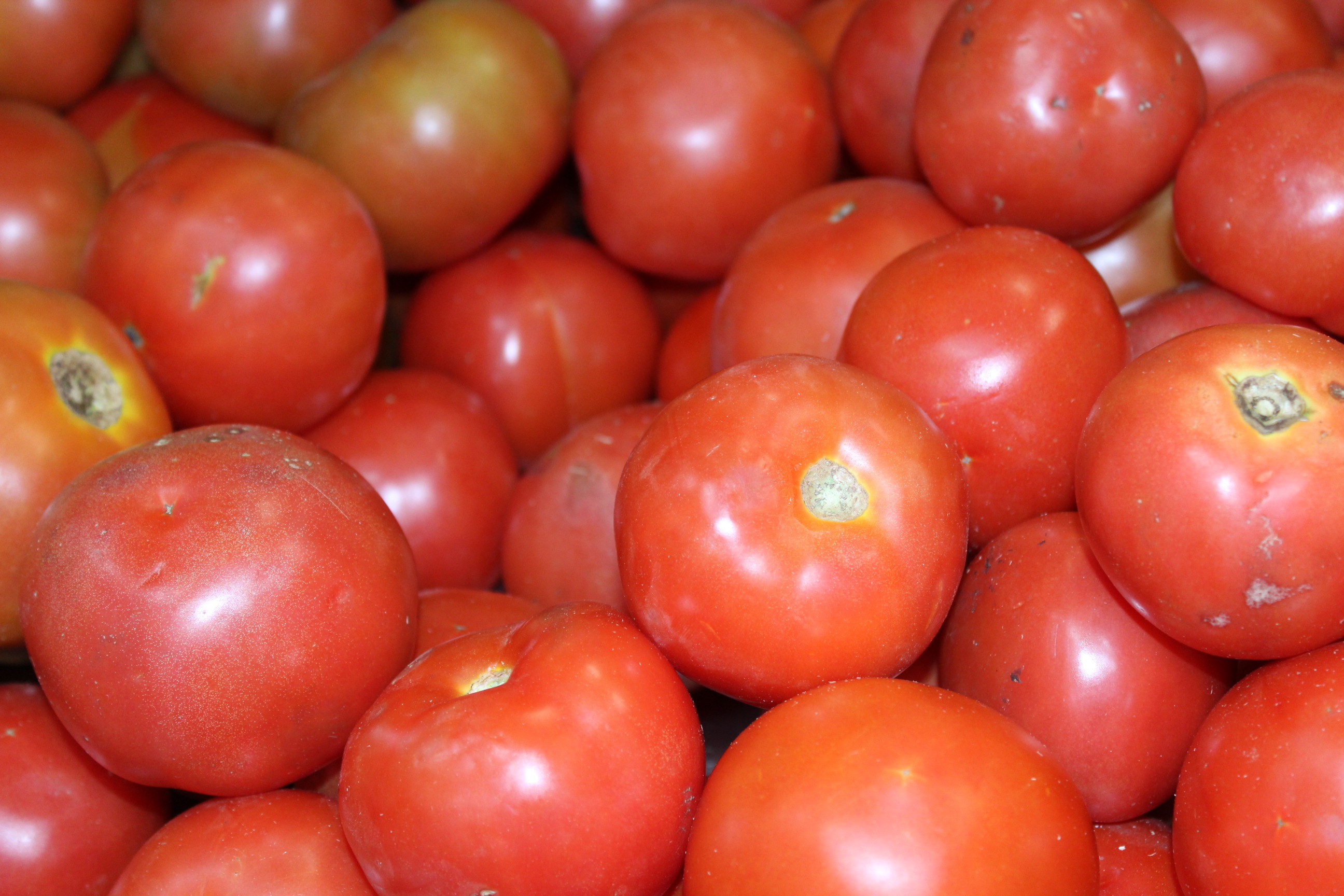 produtos do supermercado 3